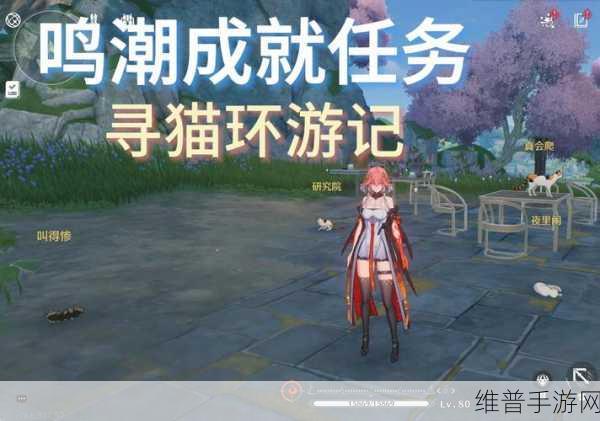 鸣潮手游，拯救世界拯救猫咪任务全解