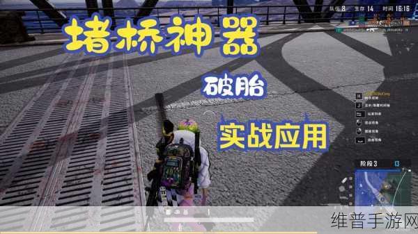 绝地求生手游堵桥秘籍，新老地图过桥费收取全攻略