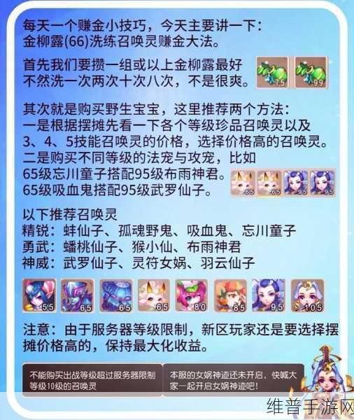 梦幻手游 60 级畅玩秘籍全解析