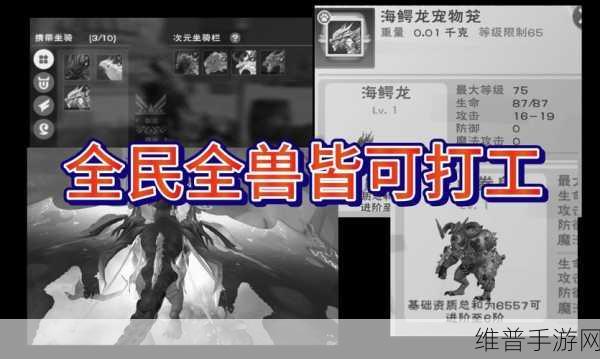 创造与魔法深度探索，坐骑喂食与资源管理精妙策略指南