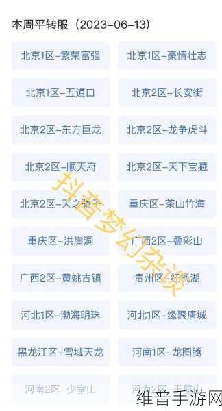 2023 年梦幻西游新区开服盛况与攻略指南