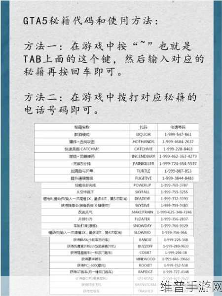 GTA5游戏攻略，高效策略助你轻松删除保镖