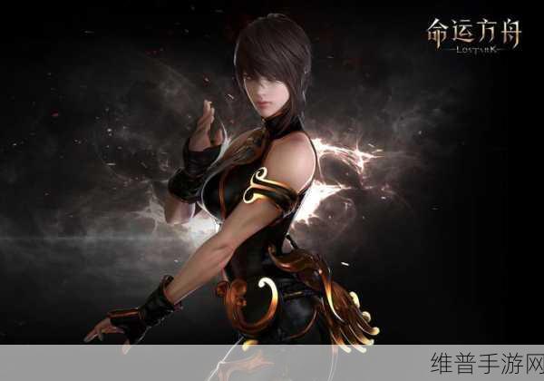 命运方舟,深入解析记忆匠人任务完成攻略