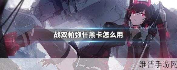 战双帕弥什黑卡功能详解与游戏内秘密揭示