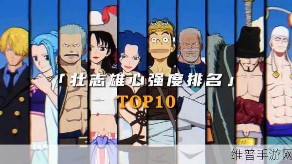 航海王，壮志雄心 援护角色精选指南
