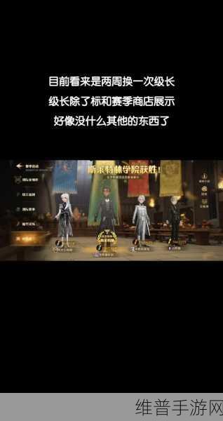 哈利波特，魔法觉醒手游攻略——解锁时尚新装，打造专属巫师风采