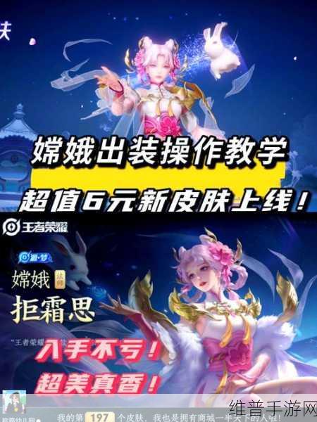 王者荣耀6元皮肤深度解析，性价比与投资回报分析