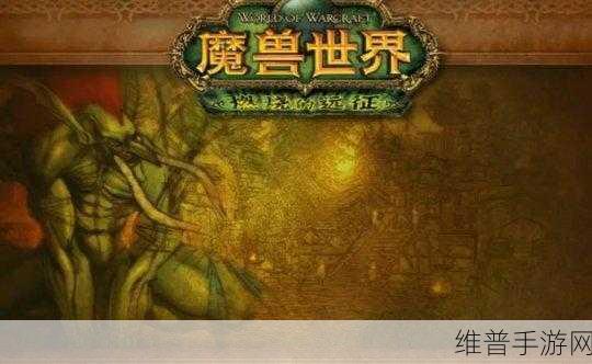 魔兽世界手游深度攻略，揭秘祖阿曼箱子与挑战乐趣