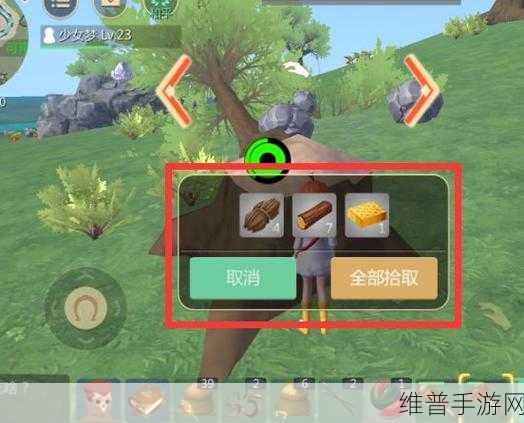 创造与魔法中棕熊饲料的奥秘全解析