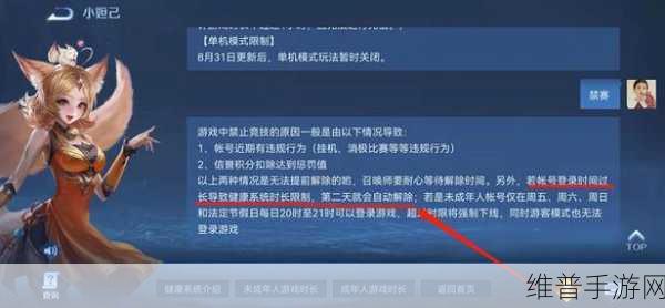 王者荣耀，全面解析王者禁赛时间计算规则