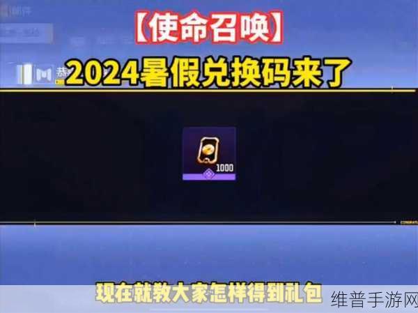 使命召唤手游，9999 点券兑换码的真相探寻