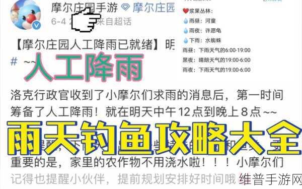 摩尔庄园手游下雨天的奇妙用途与雨天任务全攻略