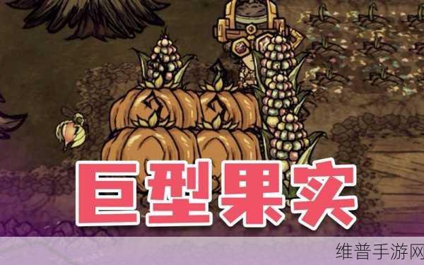 饥荒手游，巨型南瓜的奇妙用途与获取攻略