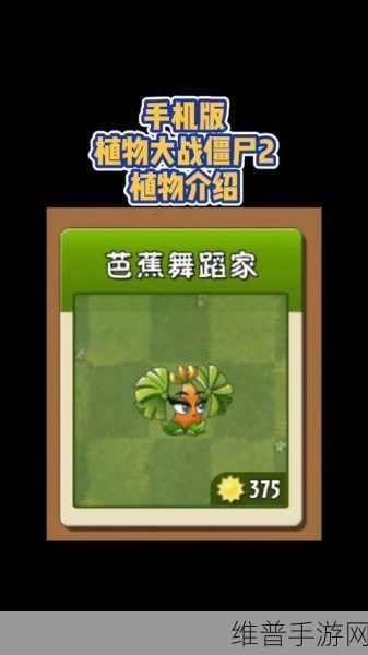 手游攻略，深度解析植物大战僵尸2芭蕉舞蹈家的实战表现