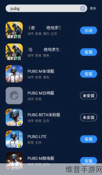 PUBG国际服安卓下载全攻略，轻松畅玩绝地求生M
