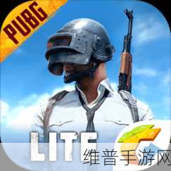PUBG国际服安卓下载全攻略，轻松畅玩绝地求生M