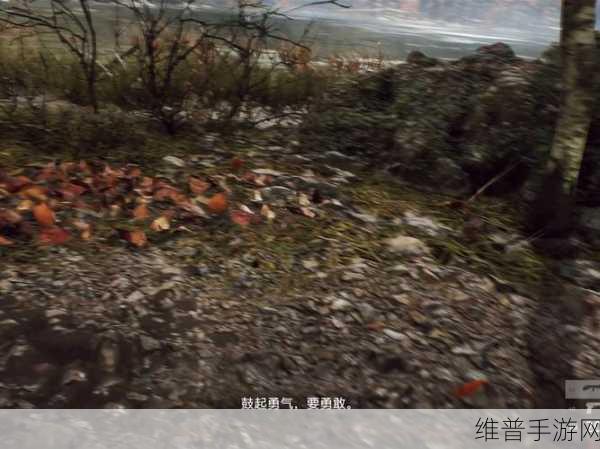 战地 5 第三章信件收集秘籍，非裔步兵全流程解析