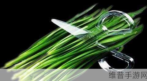 蔚来总裁秦力洪出席COP29大会，智能电动汽车与手游的绿色未来