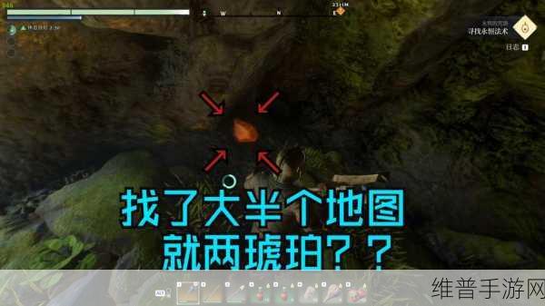 雾锁王国手游琥珀获取秘籍大公开