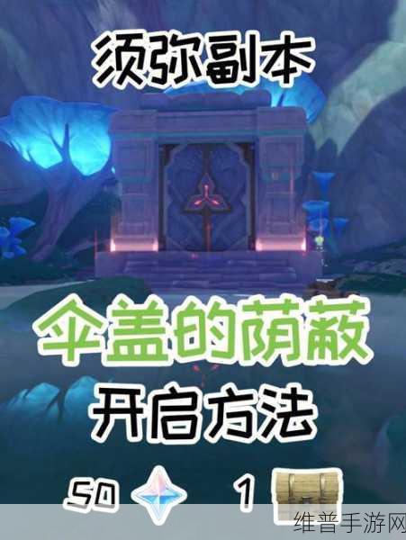 原神伞盖的荫蔽解密全攻略，深入探索隐藏秘境，赢取丰厚游戏奖励