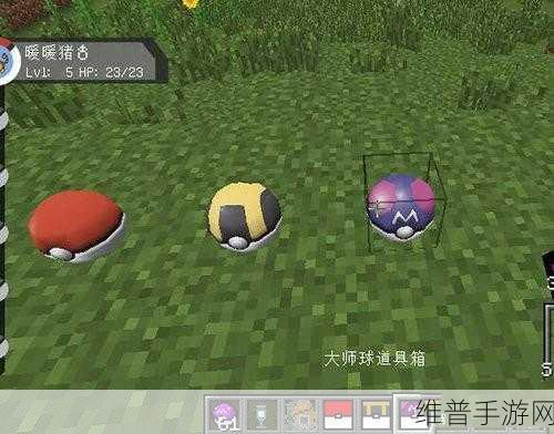 我的世界手游攻略，揭秘大师球获取途径与提高获得几率