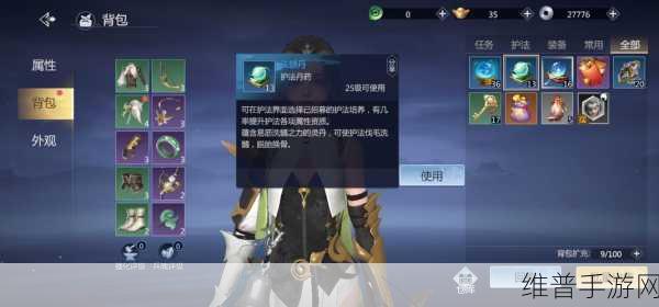 剑侠世界手游攻略，揭秘目前版本攻击力最高的职业