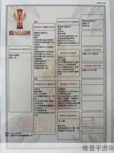 代号肉鸽，装备强化优先级全解析