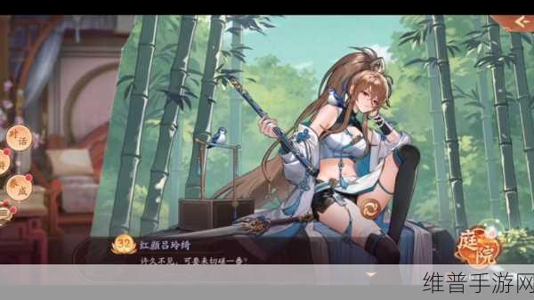 少年三国志中后期升级攻略，战略战术深度解析玩转角色成长与战力提升之路