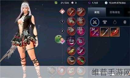 黑色沙漠手游装备获得方法全面解析