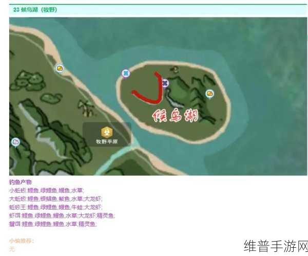创造与魔法手游攻略,揭秘鲶鱼垂钓的最佳地点