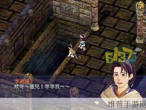 雷曼光电照亮校园新风貌,手游攻略与现代化建设并进