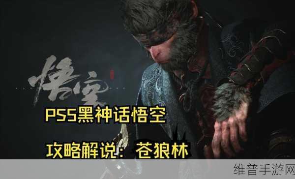 PS5黑神话，悟空购买全攻略