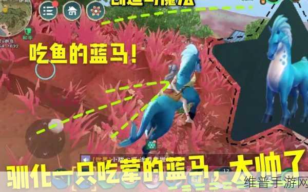 创造与魔法驯服蓝马全攻略，解锁你的新手坐骑