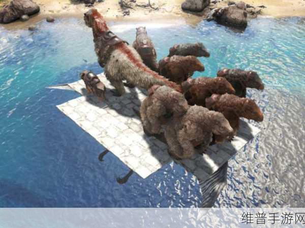 黑暗与光明交织，蜘蛛鞍制作及管理精粹指南