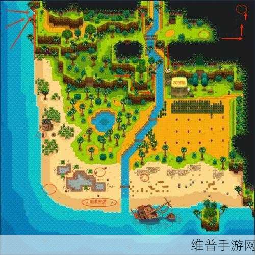 星露谷物语深度攻略，姜岛图腾柱解锁全解析