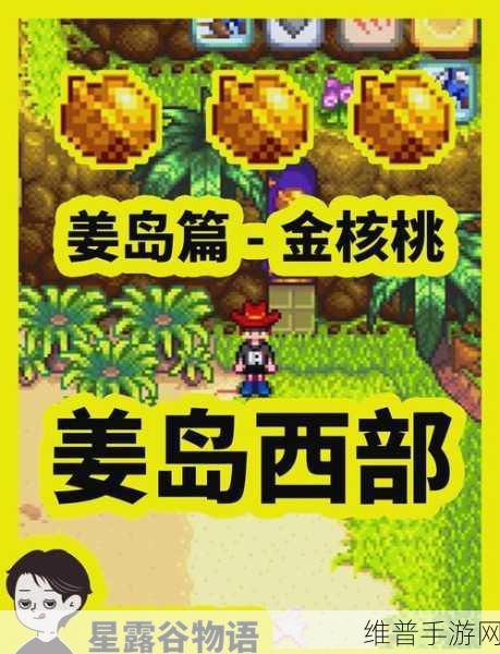 星露谷物语深度攻略,姜岛图腾柱解锁全解析