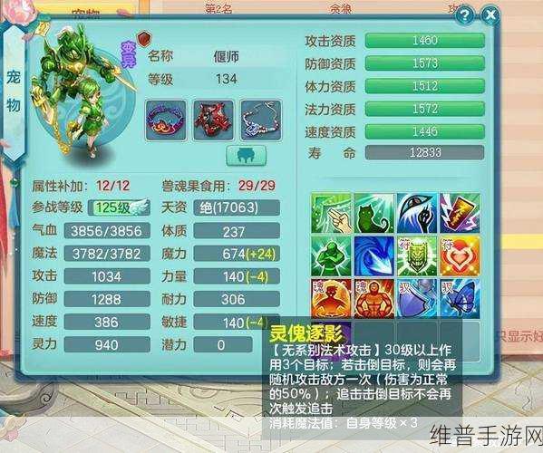 大唐双龙传宠物年成长属性深度解析与资源管理高效策略