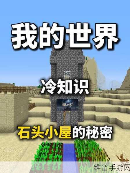 我的世界深度探索，那些鲜为人知的冷知识揭秘