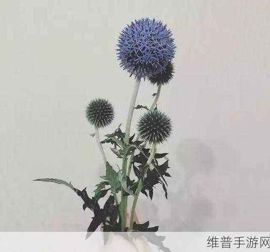星球重启，揭秘枯萎的蓝莹花获得方法全攻略