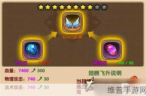 太极熊猫翅膀获取全攻略，解锁你的飞行梦想