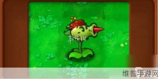 植物大战僵尸2深度攻略，仙人掌与喇叭花，谁才是你的战场王者？