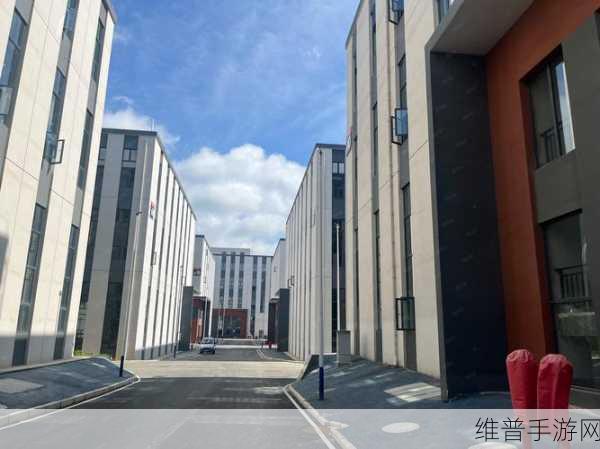 观山湖区智能网联产业园福利风暴，金观食堂焕新，手游攻略数据大放送！