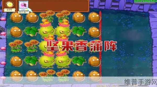 植物大战僵尸系列手游攻略，坚果包扎术详解及防御策略选择