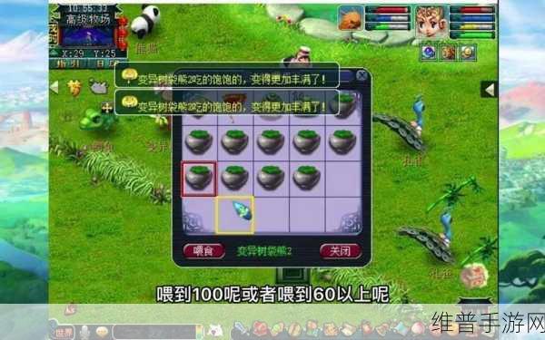 梦幻的城派对玩法深度技巧与攻略指南