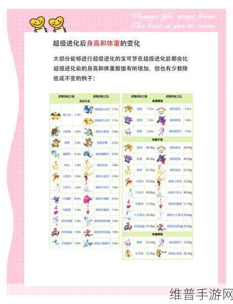 口袋妖怪冰雪城mega石分布大全，全面探索与收集指南