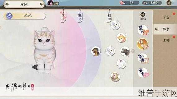 天涯明月刀手游深度探索，猫之友玩法全面介绍