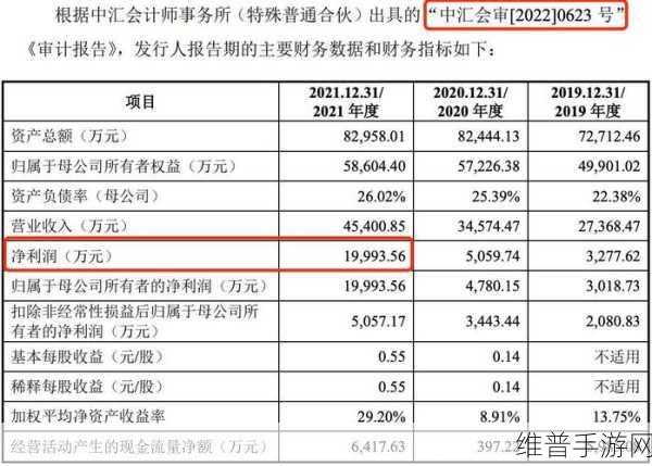 浙江华远IPO谜团探秘，手游公司视角下的高额分红与募资建厂疑云
