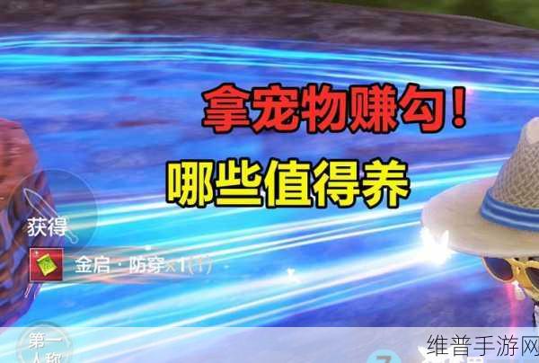 妄想山海勾玉快速获取方法全面解析