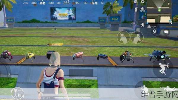 和平精英SS19特训岛，与好友1v1单挑的终极攻略