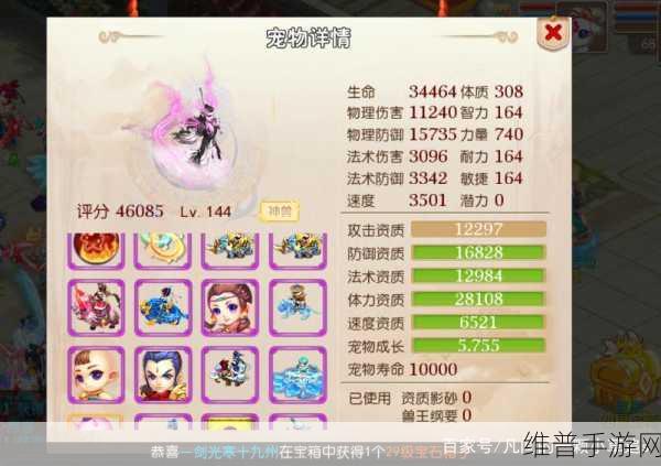 梦幻西游手游超级神兽深度剖析，性能分析与选择指南
